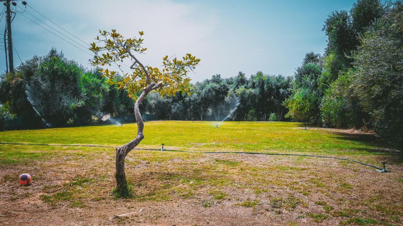 Chrysland Daire Aya Napa Dış mekan fotoğraf