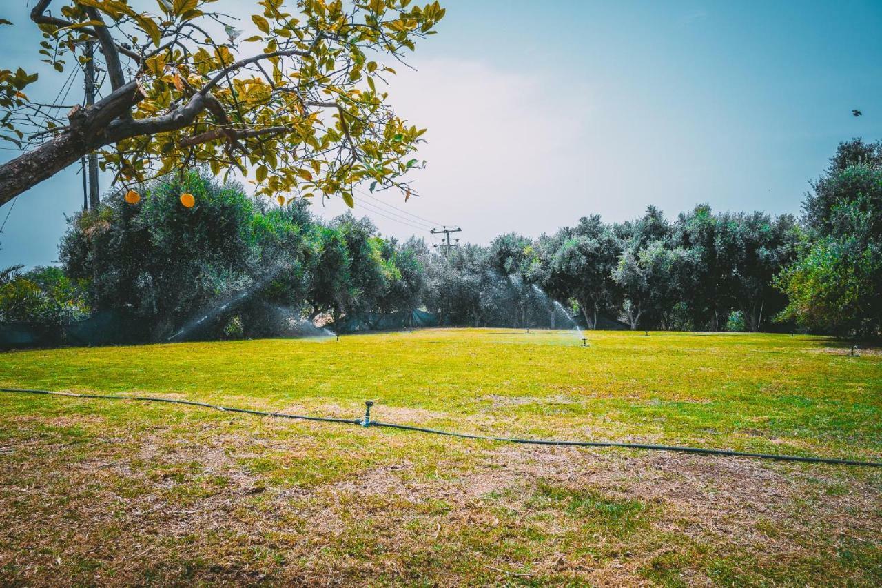Chrysland Daire Aya Napa Dış mekan fotoğraf